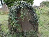 image of grave number 300639